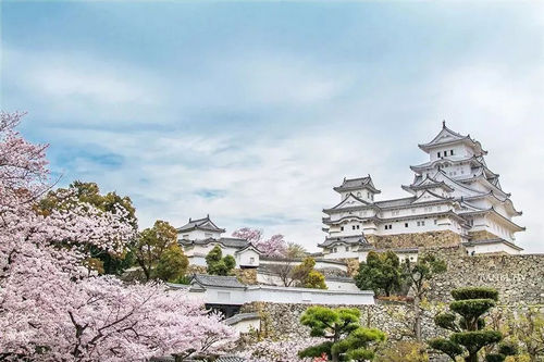 2023年日本樱花绽放最新时间表出来啦！错过再等一年！