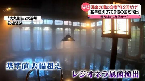 突发！被曝出丑闻的日本百年温泉旅馆社长，在野外上吊自杀......